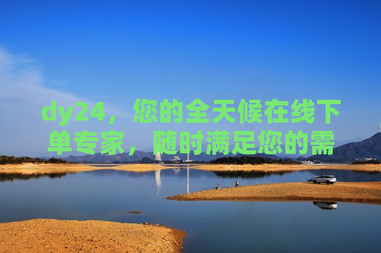 dy24，您的全天候在线下单专家，随时满足您的需求！