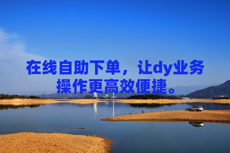 在线自助下单，让dy业务操作更高效便捷。
