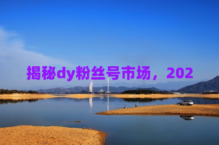 揭秘dy粉丝号市场，2025必备，一表掌握价格全貌！