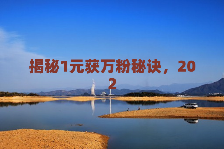 揭秘1元获万粉秘诀，2025必学策略，打造忠实粉丝群。
