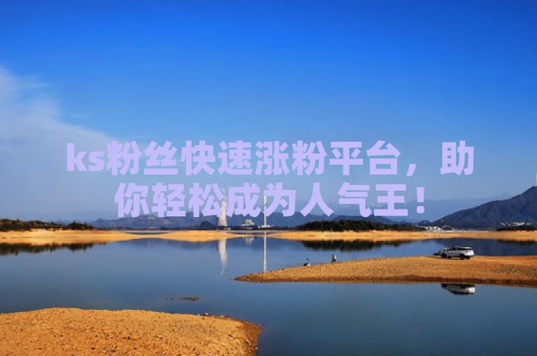 ks粉丝快速涨粉平台，助你轻松成为人气王！
