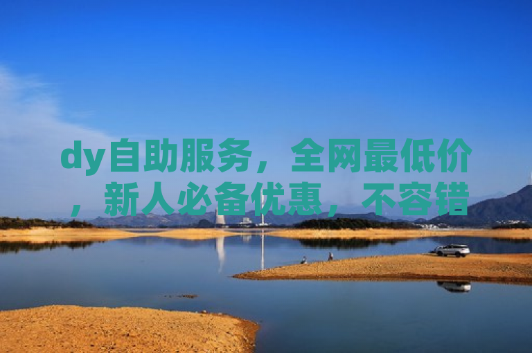 dy自助服务，全网最低价，新人必备优惠，不容错过！