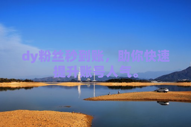 dy粉丝秒到账，助你快速提升账号人气。