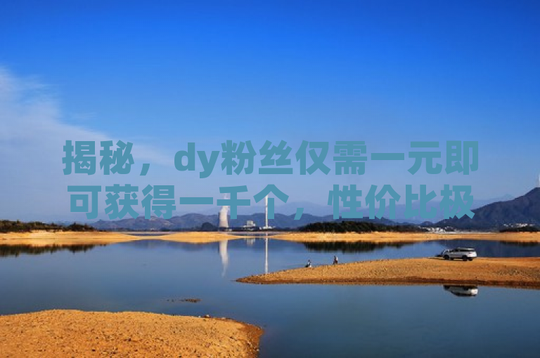 揭秘，dy粉丝仅需一元即可获得一千个，性价比极高。