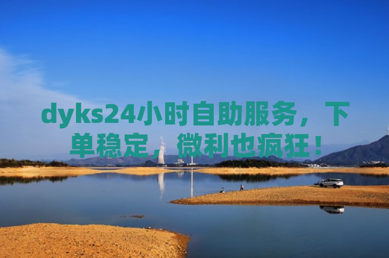 dyks24小时自助服务，下单稳定，微利也疯狂！