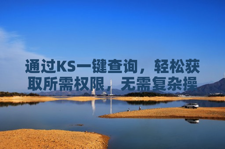 通过KS一键查询，轻松获取所需权限，无需复杂操作。