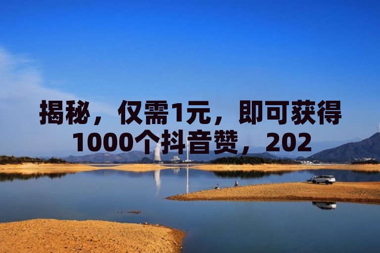 揭秘，仅需1元，即可获得1000个抖音赞，2025年必备技巧！
