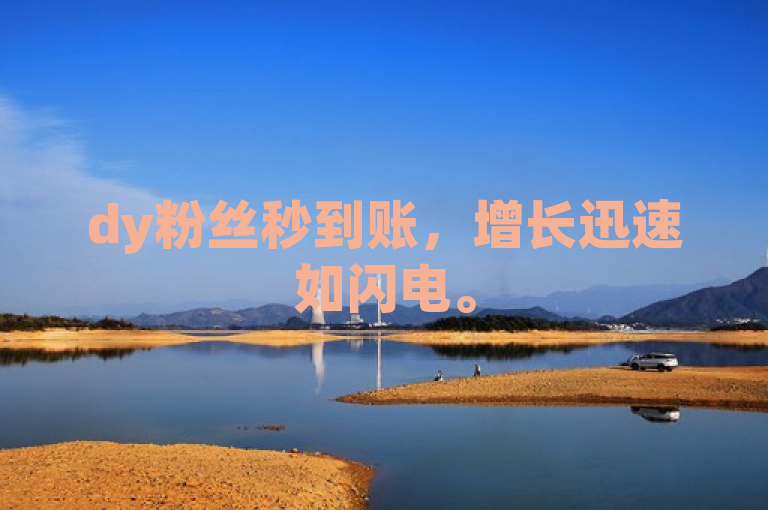 dy粉丝秒到账，增长迅速如闪电。