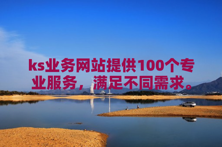 ks业务网站提供100个专业服务，满足不同需求。