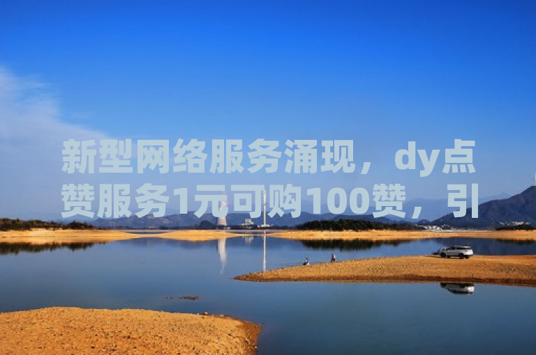 新型网络服务涌现，dy点赞服务1元可购100赞，引发在线平台热议。