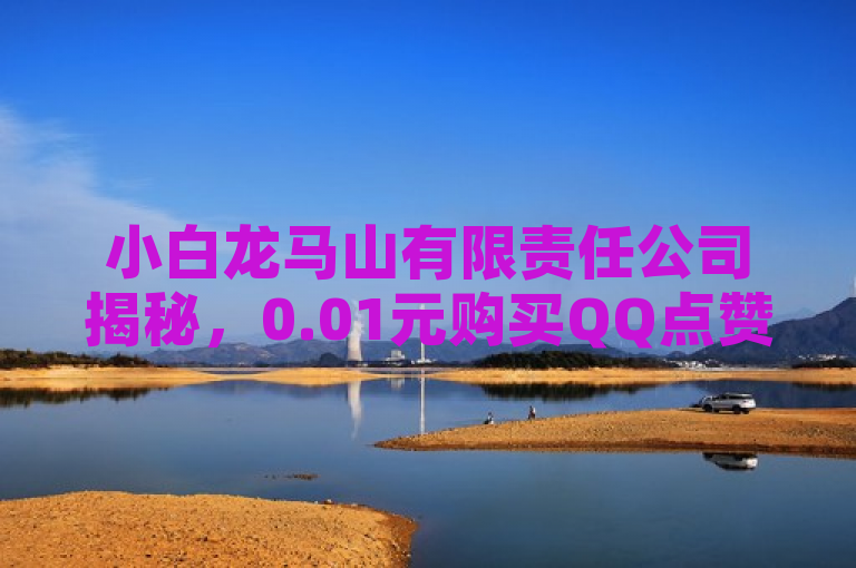 小白龙马山有限责任公司揭秘，0.01元购买QQ点赞资料卡，ks网站买热度。