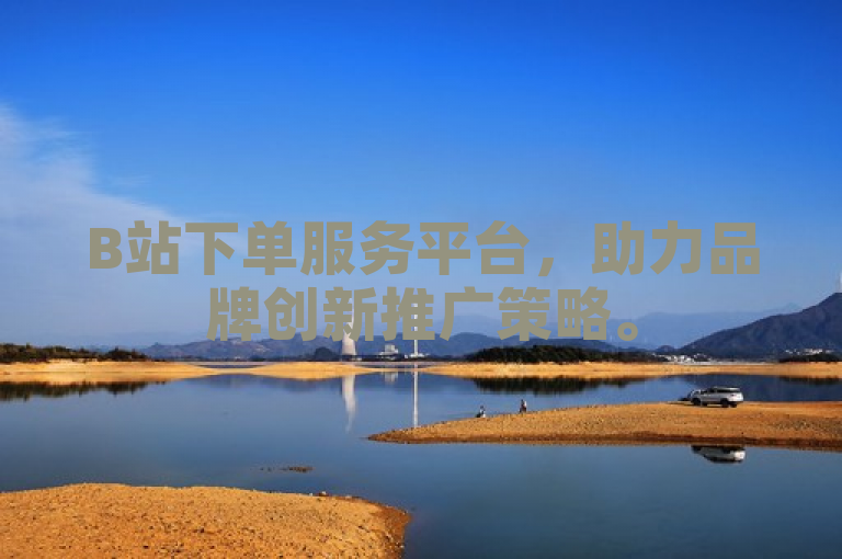 B站下单服务平台，助力品牌创新推广策略。