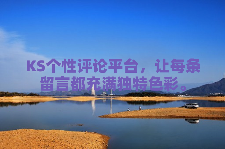 KS个性评论平台，让每条留言都充满独特色彩。