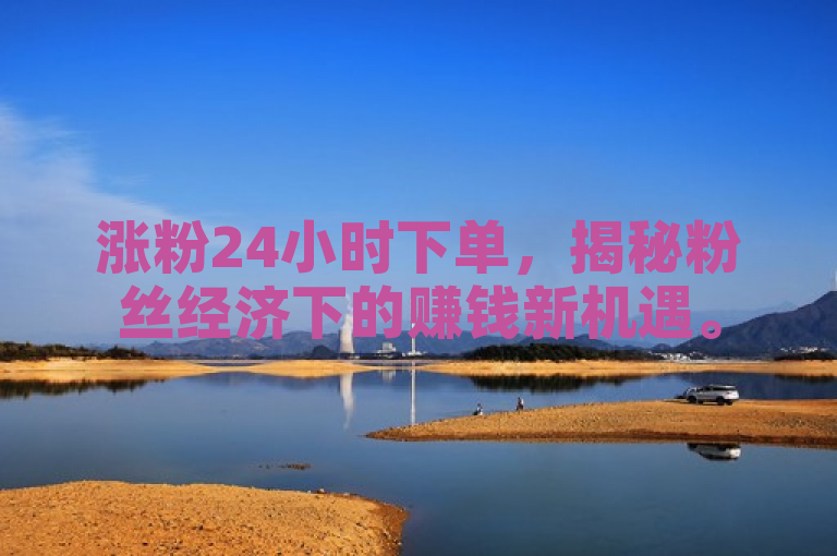 涨粉24小时下单，揭秘粉丝经济下的赚钱新机遇。