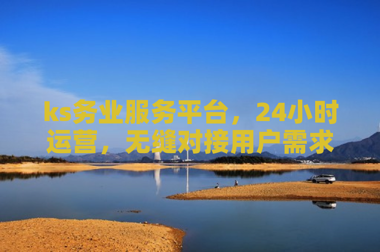 ks务业服务平台，24小时运营，无缝对接用户需求。