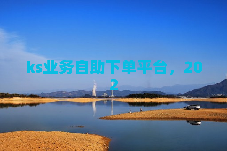 ks业务自助下单平台，2025必备，秒速到账，便捷高效。
